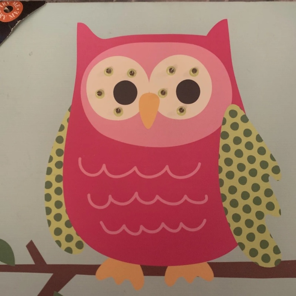 EUC Light-Up Owl Painting